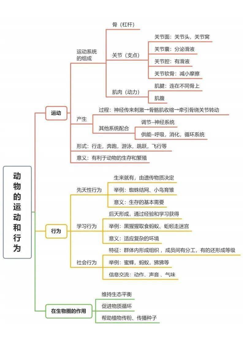 了然|初中生物全册思维导图总结，所有必考点一目 了然！