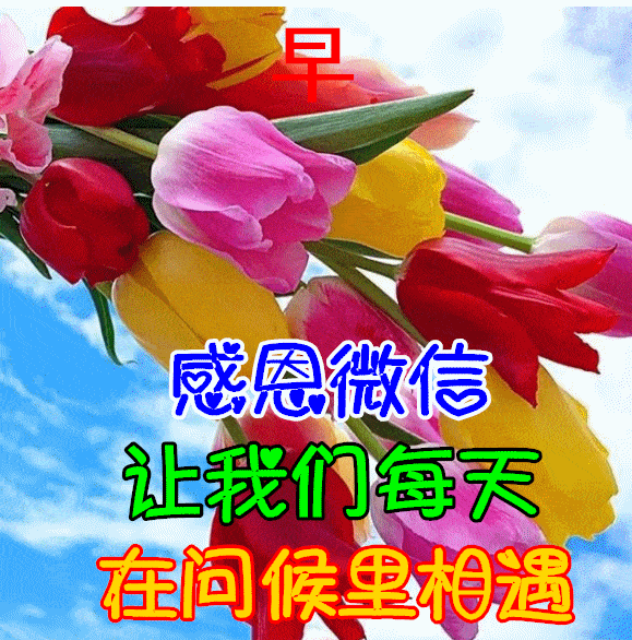 11月16日早上好动态表情图片大全,早晨好动图美图大全_生活