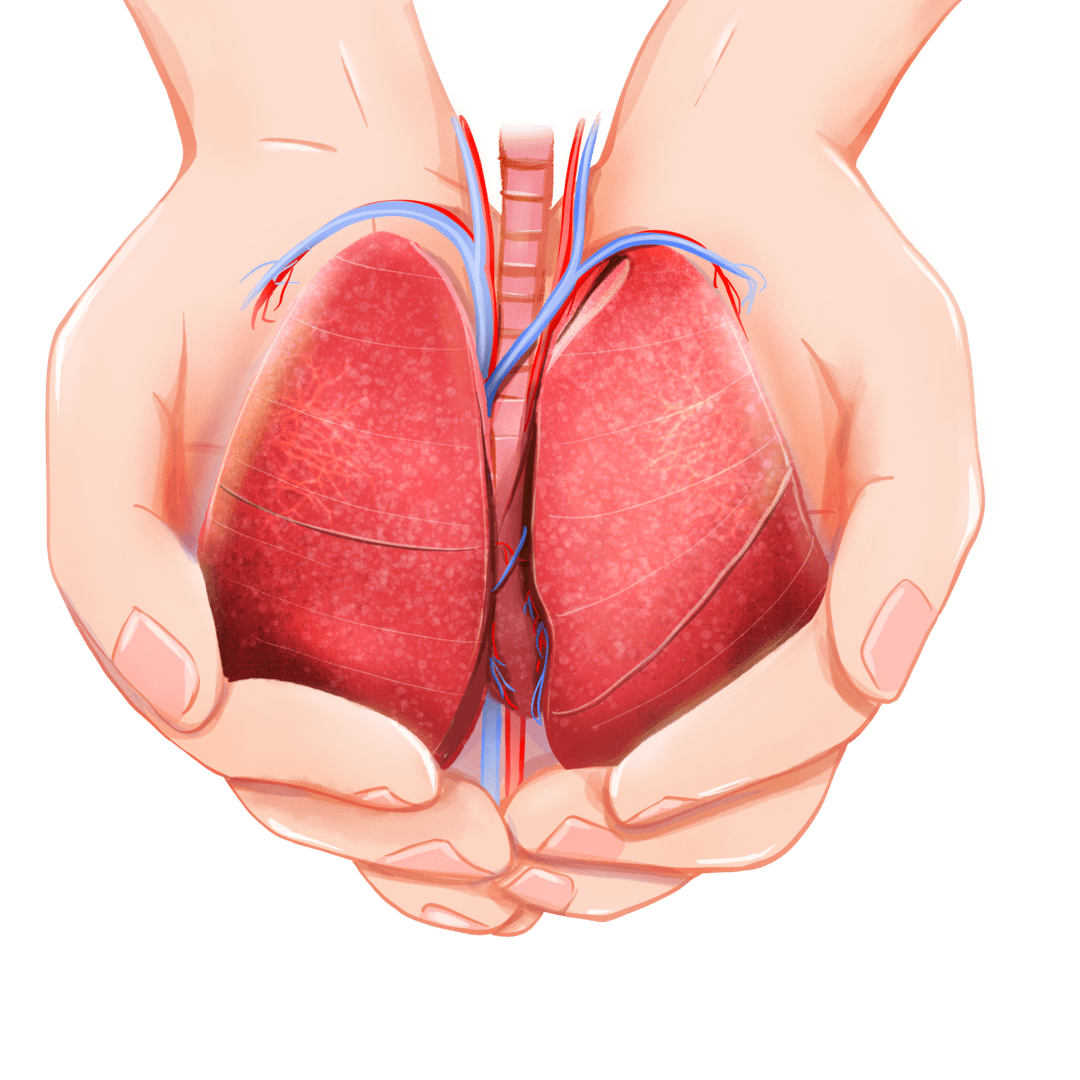 治疗|世界慢阻肺日 | 健康呼吸，无与伦比