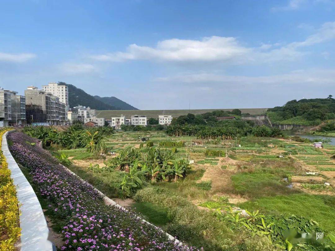 小口袋里的大幸福高州长坡镇新建风景优的口袋公园开园