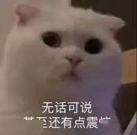 瞬间|【聊天室】生活中那些九死一生的瞬间，真·离当场去世就差那么点！