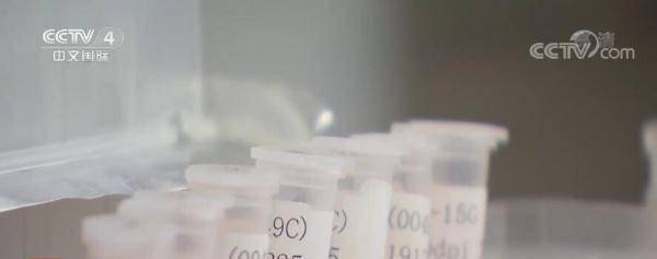 疫苗|新闻观察： 中国积极推进多路径新冠肺炎药物研发