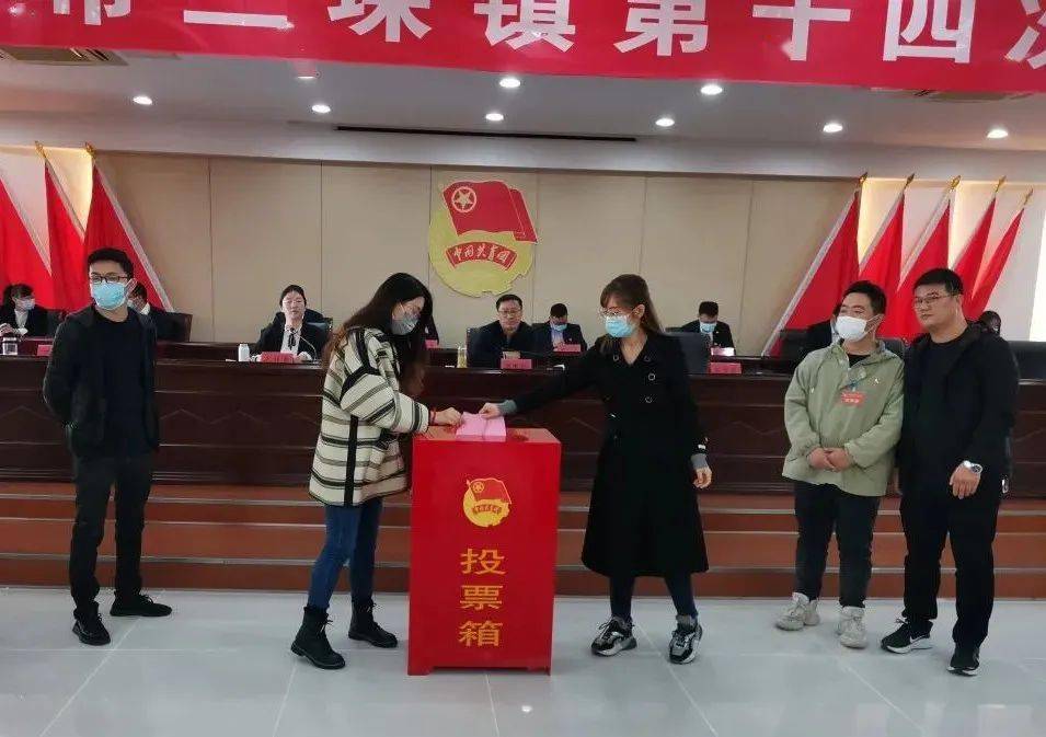 三垛镇团委换届选举工作圆满完成