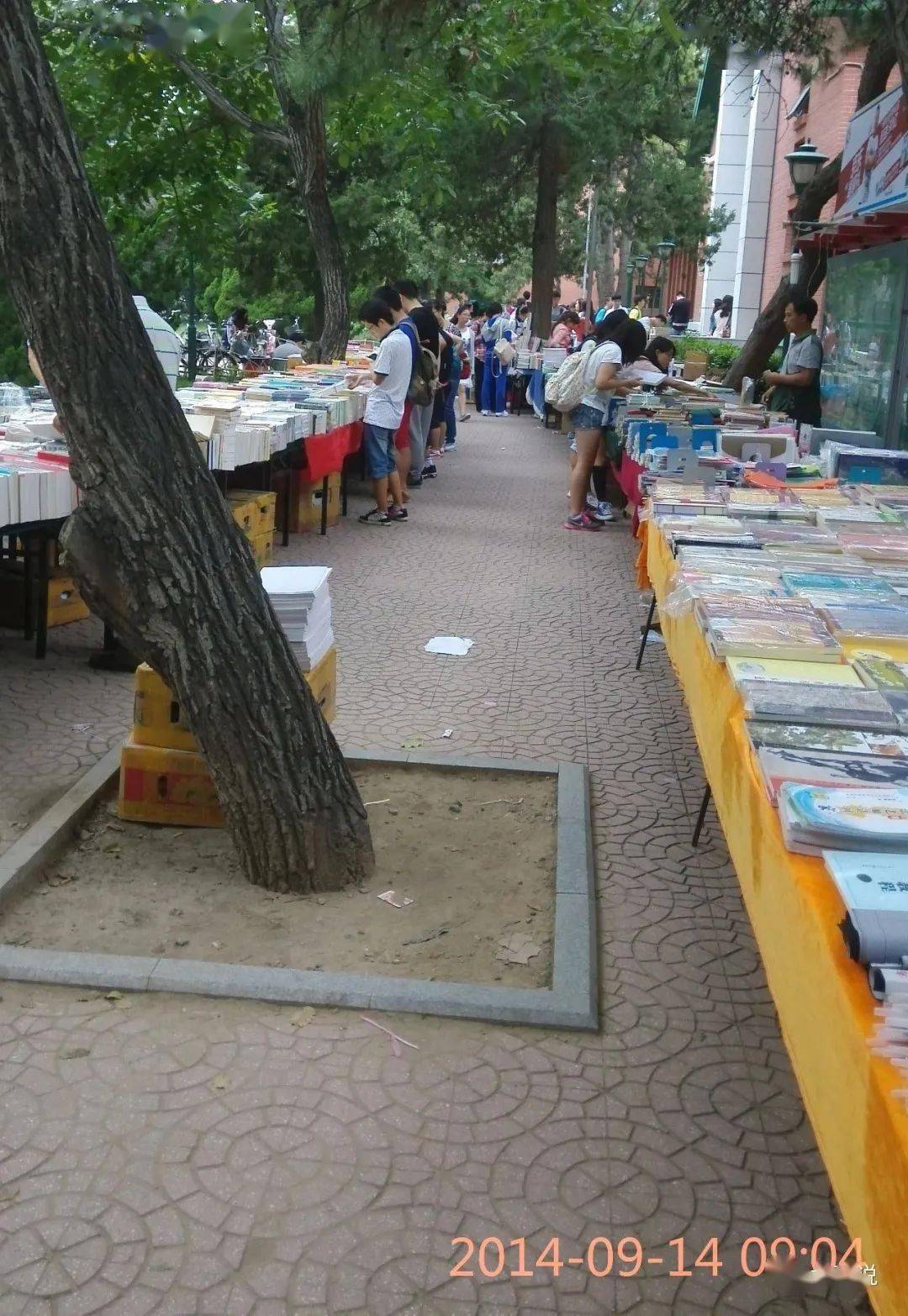 镜头下的人大校园