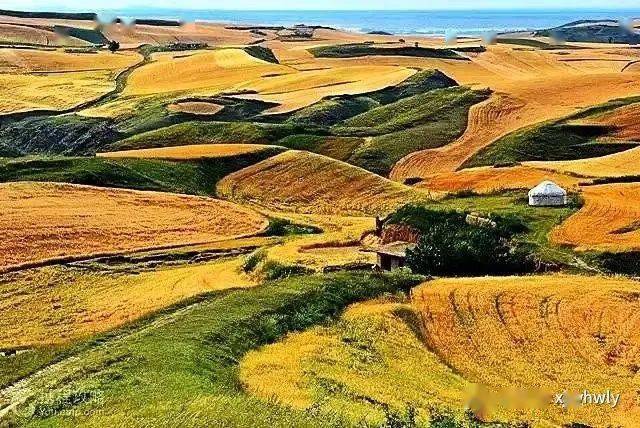 五家渠奇台农场一万泉旅游_景区