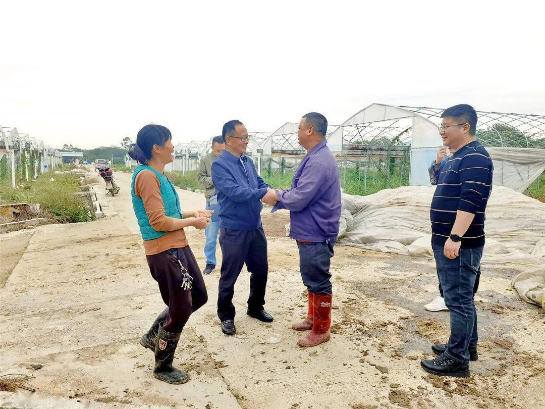 来自华南农业大学园艺学院的汪国平教授(番茄专家)和吴启松教授(病虫