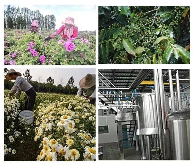 果香比清货还便宜：源自资生堂高级研发教授，低至38元！蜜梨身体乳