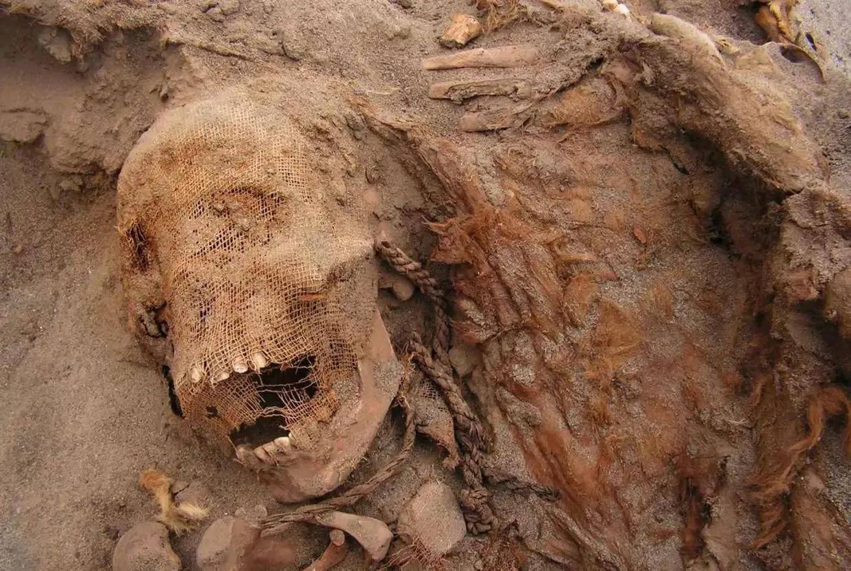 朱元璋逝世后,美貌皇后被活殉葬,结果十年后却与守墓人生下孩子