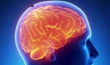 相关|脑血管病的常见危险因素 你占了几条？