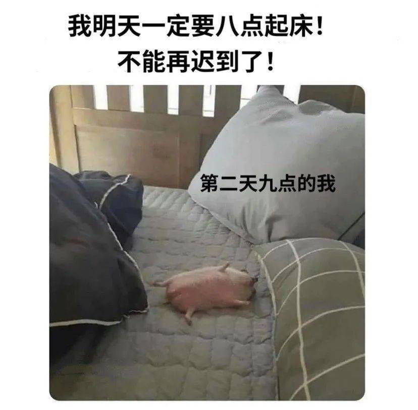 小时候冬天的早上想要起个床到底有多难？
