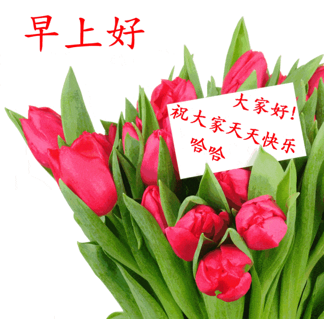 藏文小诗朋友周五愉快