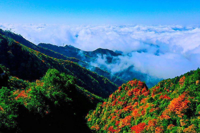 气势|四川宣汉：深秋大峡谷 漫山红叶醉游人