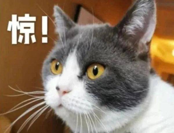 福建|54岁福州女子，头痛到讲不出话！福建疾控提醒：这个年龄高发！