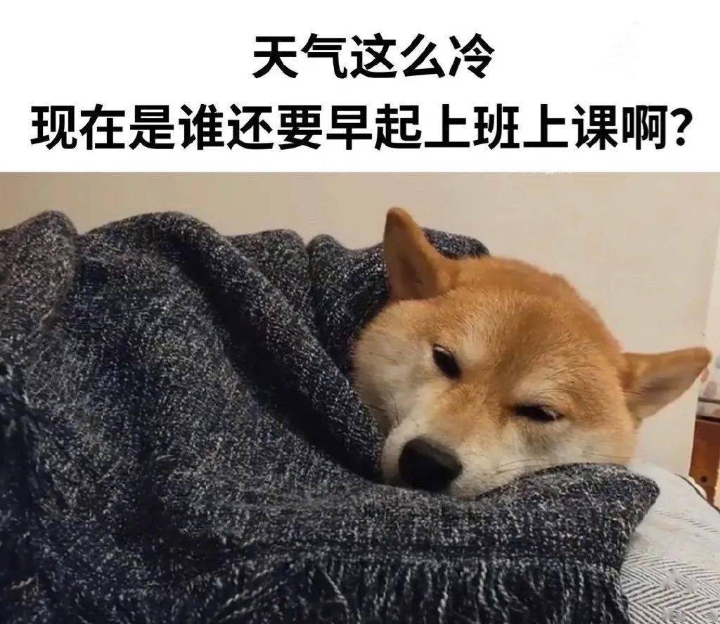 小时候冬天的早上想要起个床到底有多难？
