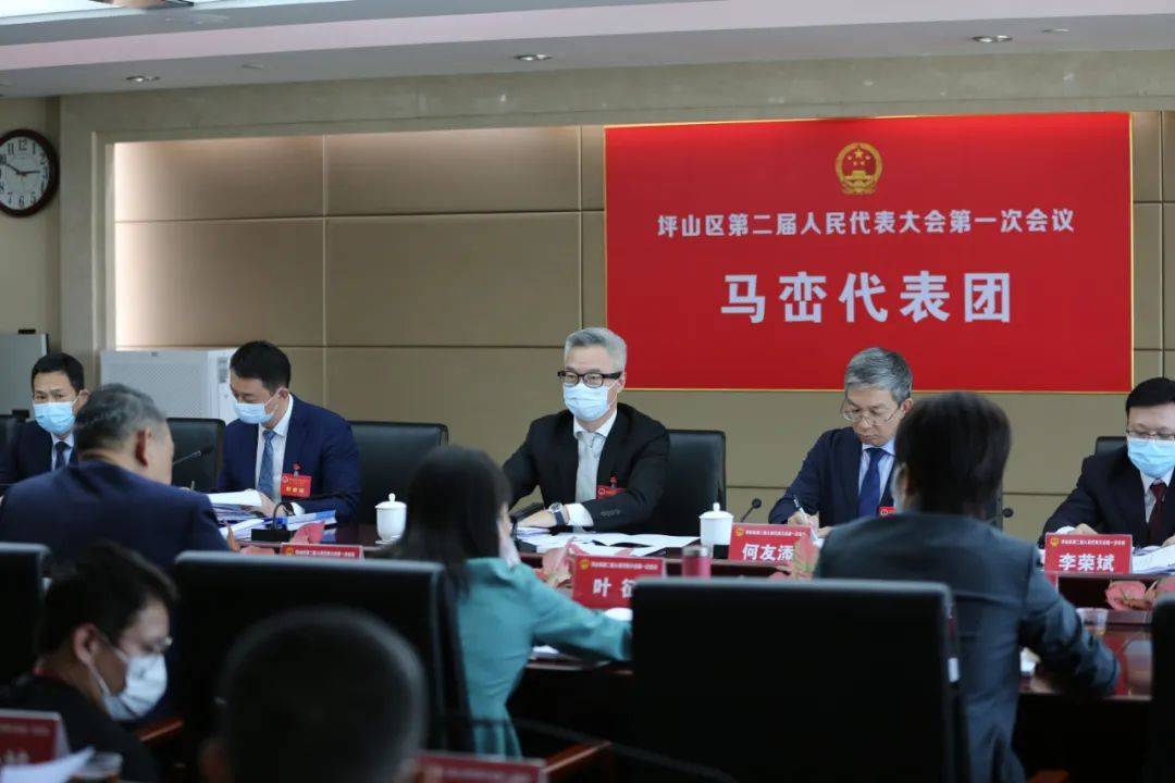 坪山区主要领导参加区二届人大一次会议分组讨论 工作