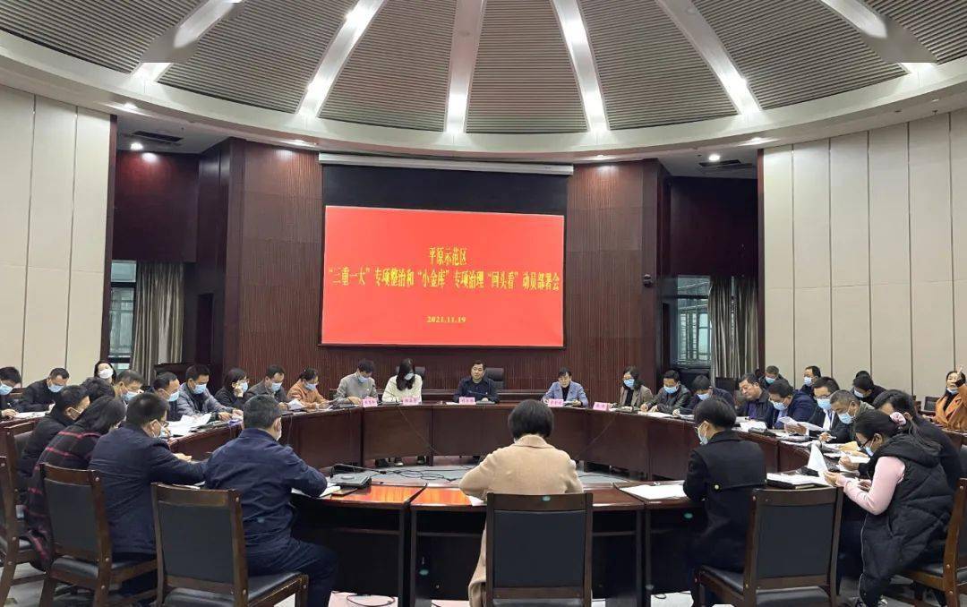 平原示范区召开三重一大专项整治和小金库治理回头看动员部署会议