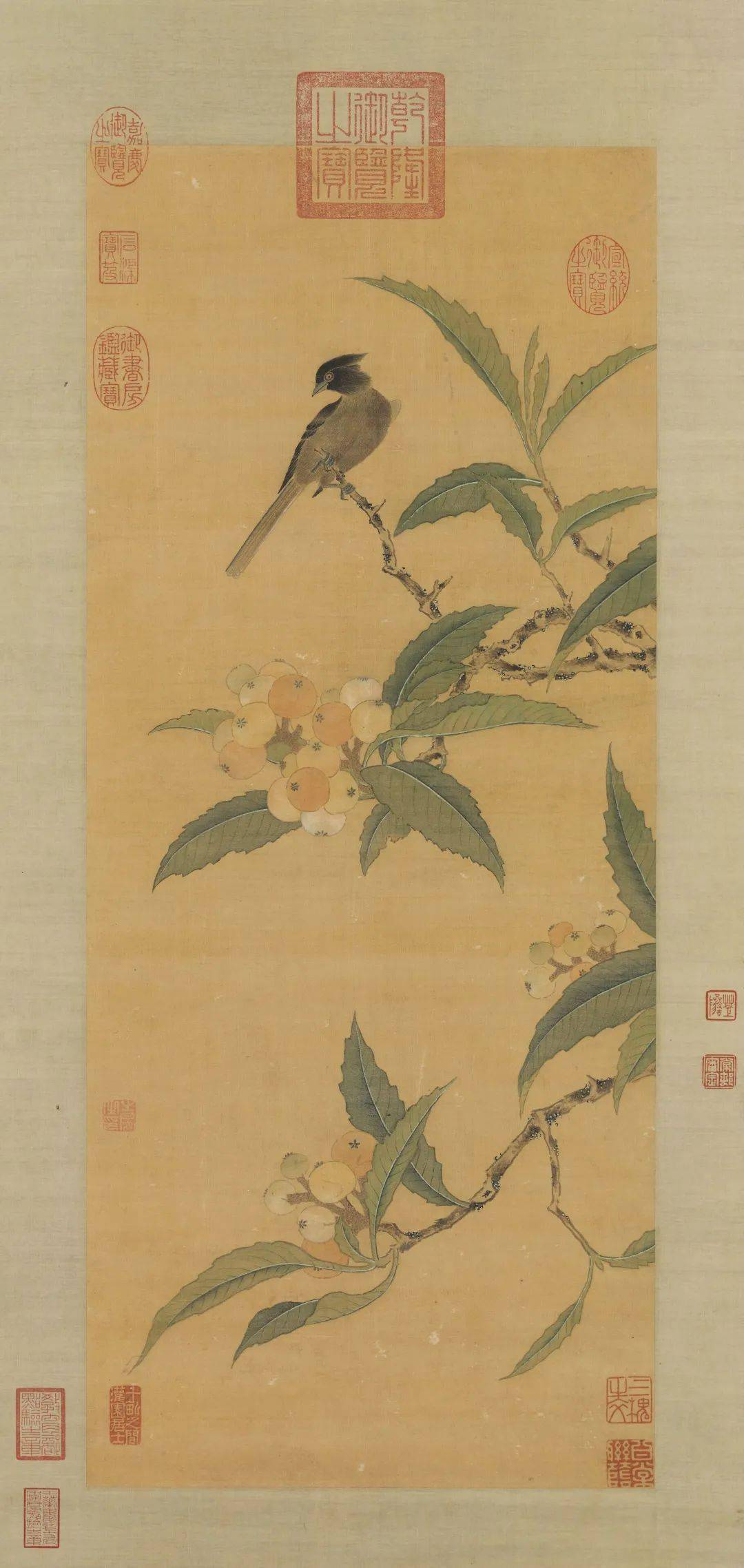 枇杷天亦寿吴人