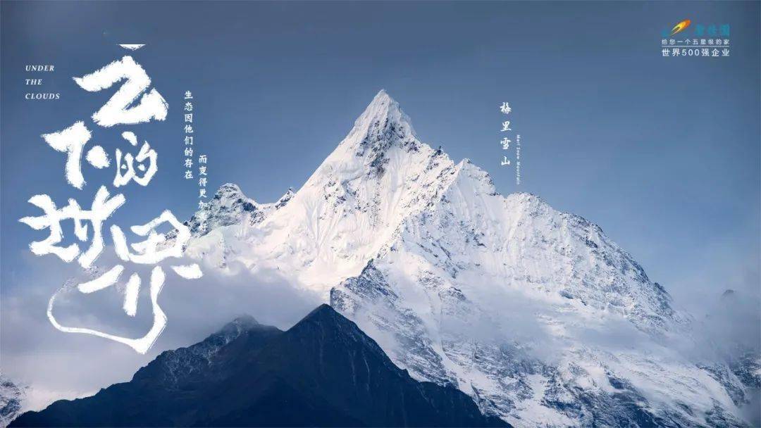 海报国产海报学起来！碧桂园新发布，野味儿十足