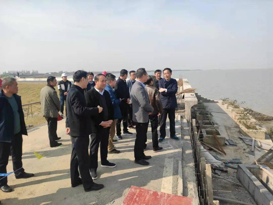 查看槐林镇巢湖水毁工程修复,环巢湖环境整治治理,生态保护,大汪美丽