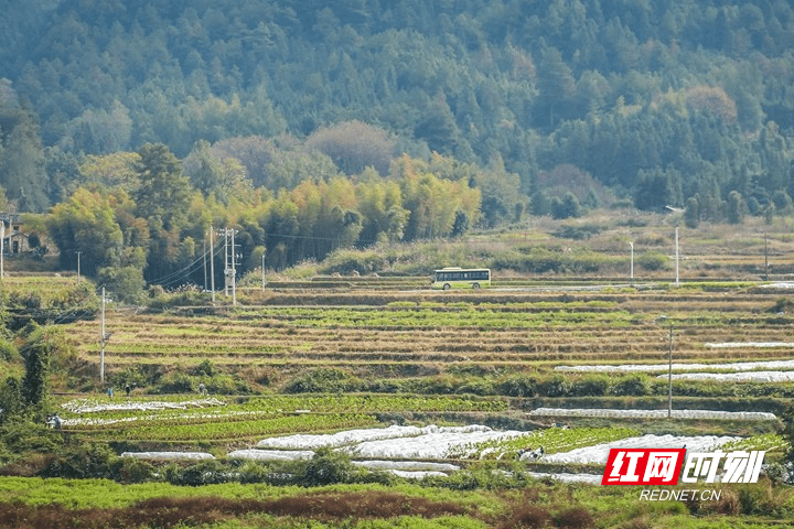 蓝山|湖南蓝山：初冬乡景