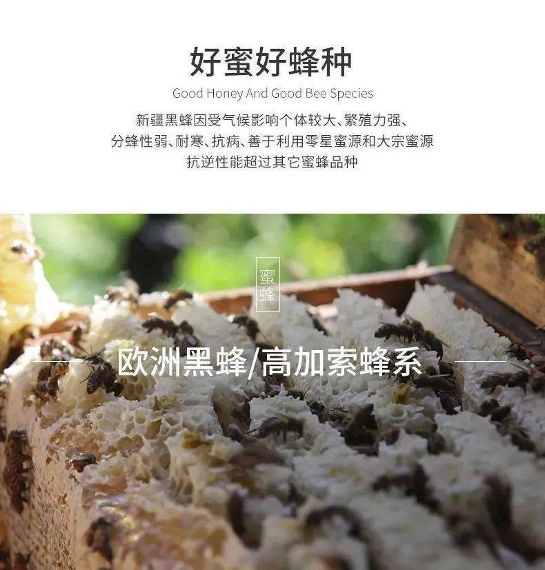 营养|【992 | 好物】冬季天气干燥，喝水时加点这个，嗓子舒服，肠胃轻松！