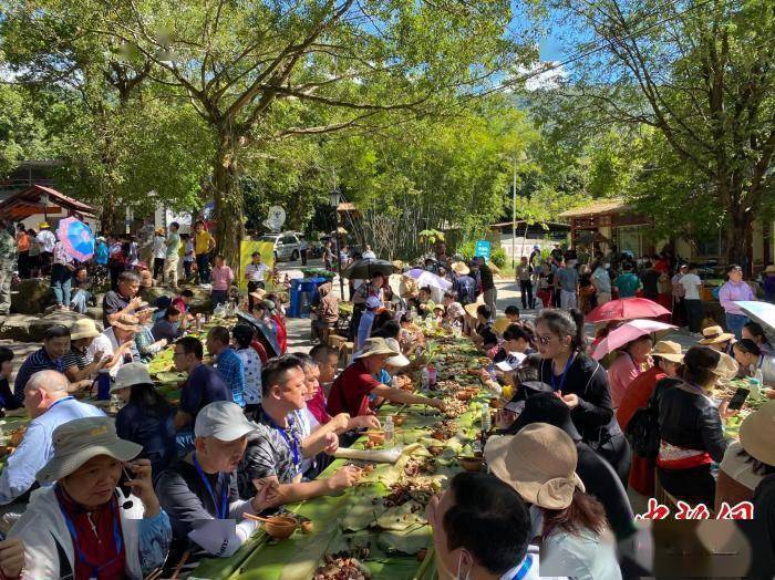 白沙|海南山兰稻飘香 黎乡举办“啦奥门”文化节庆丰收