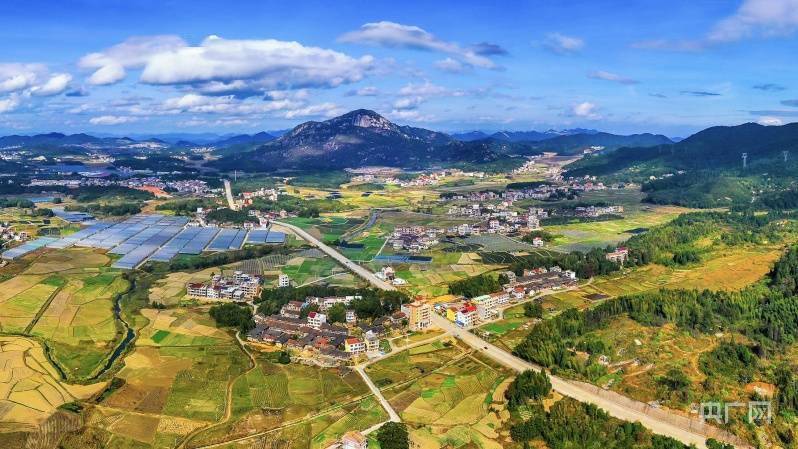 仙游县|乡村振兴看福建|钟山镇：“高山小平原”的果蔬振兴路