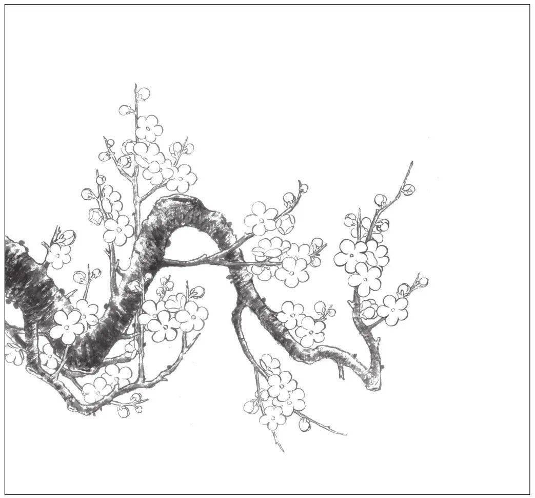 古风梅树的画法图片