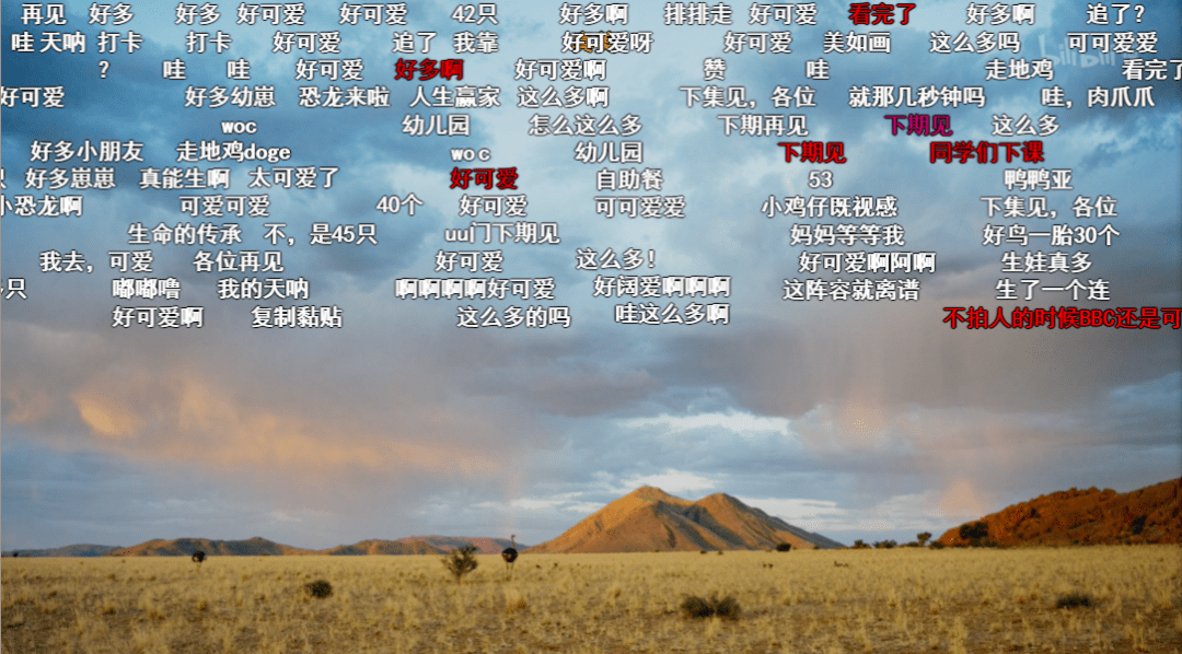 羽毛|豆瓣9.5，相亲节目已经卷成这样了