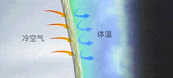 内衣 有了它,冬天也太暖了吧!