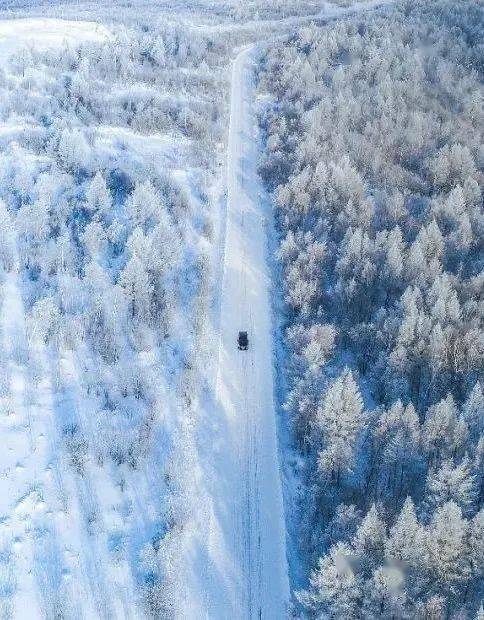 冷空气|小雪：花雪随风不厌看，又是一年小雪时