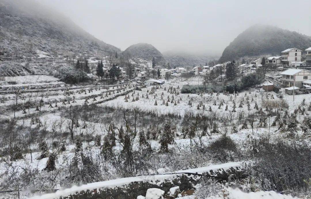 貴州這些地方下雪啦!銀裝素裹美翻天!一大波美圖來襲~_威寧