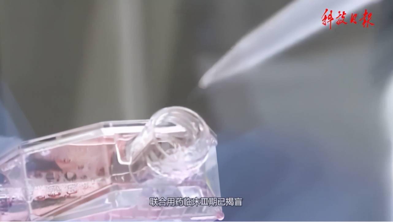 国产新冠特效药有望12月底前获批附条件上市