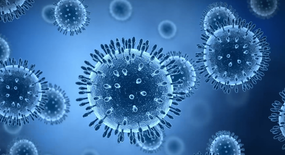 治疗|零死亡，国产新冠特效药“候选种子”三期临床揭盲