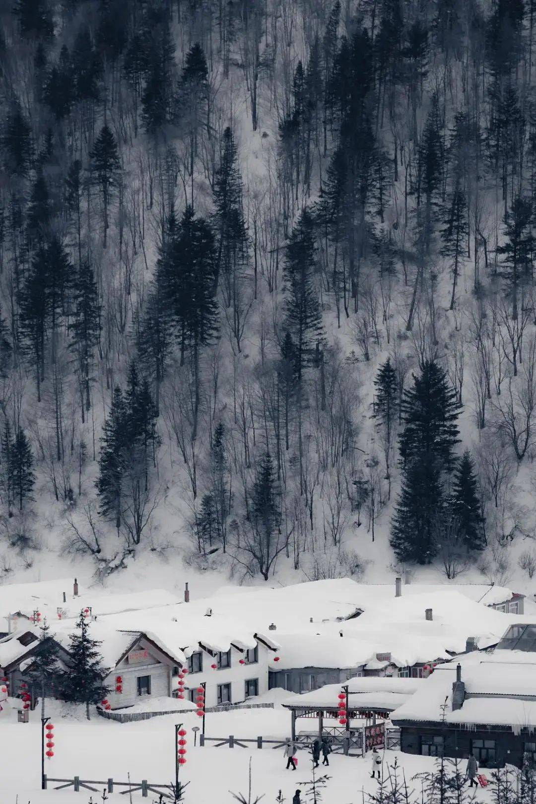 冷空气|小雪：花雪随风不厌看，又是一年小雪时