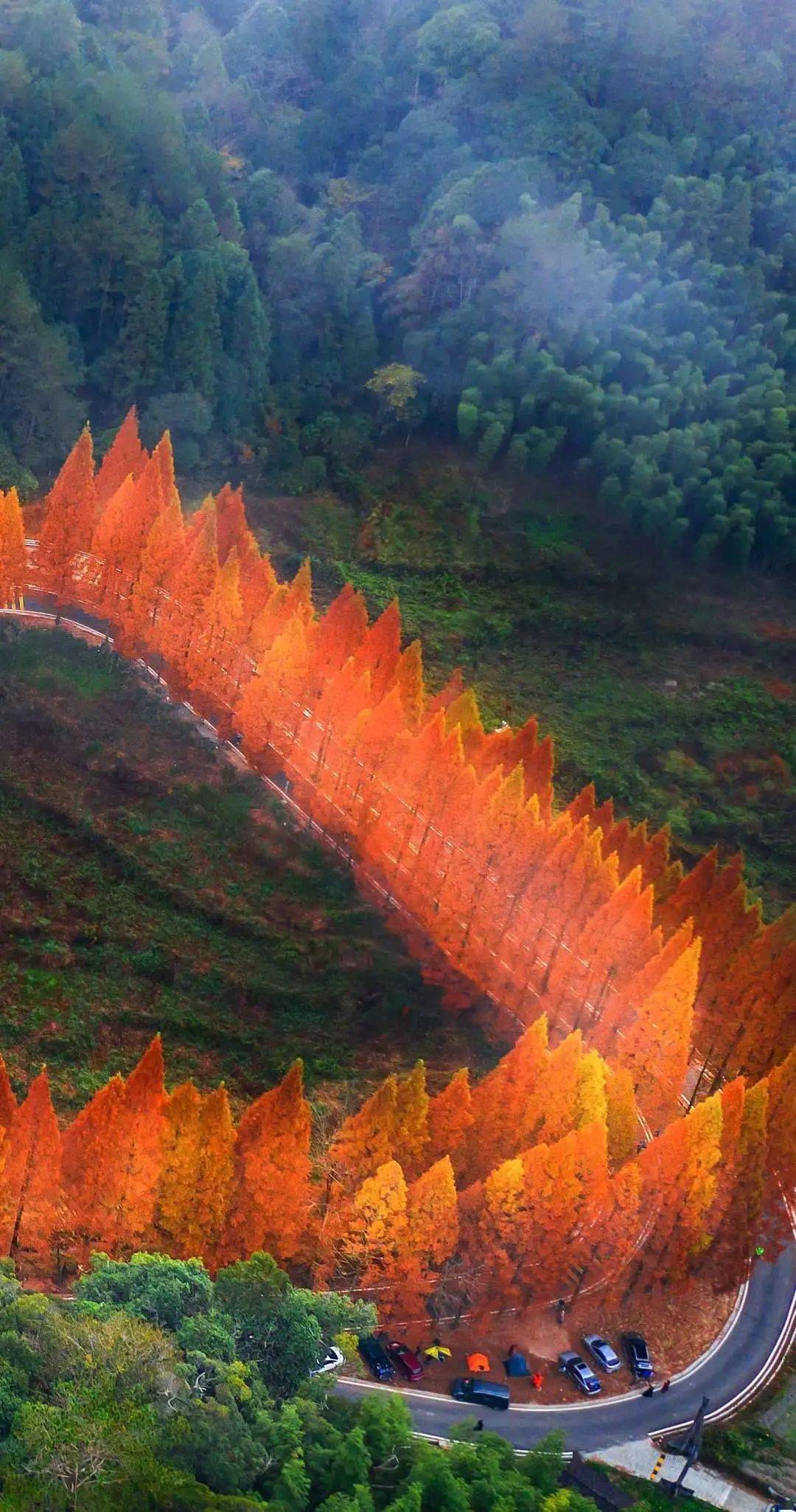 将乐县龙栖山风景图片图片