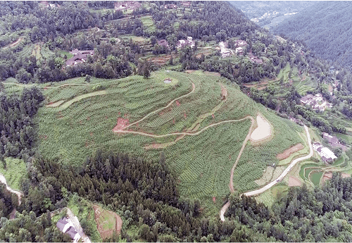 通江县涪阳镇石龙寺村村集体经济123机制_综合