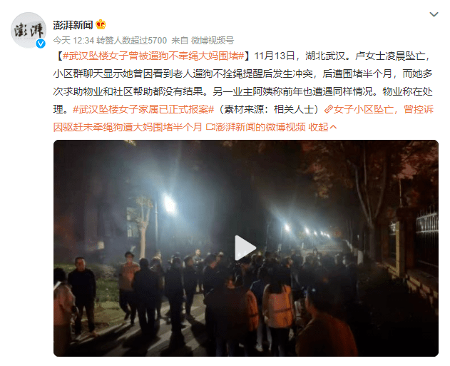 11月13日,湖北武汉,卢女士凌晨坠亡,小区群聊天显示她曾因看到老人