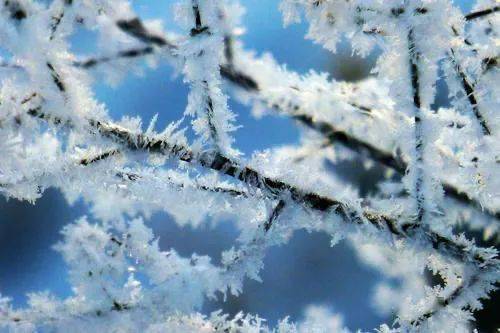 小辽说天气丨北风劲吹,今早寒冷再升级!早晚出门多穿衣!