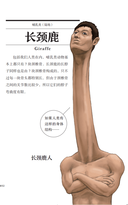 火烈鸟|绘画科普界中的阴间杠把子！他的插画惊艳了我的钛合金狗眼