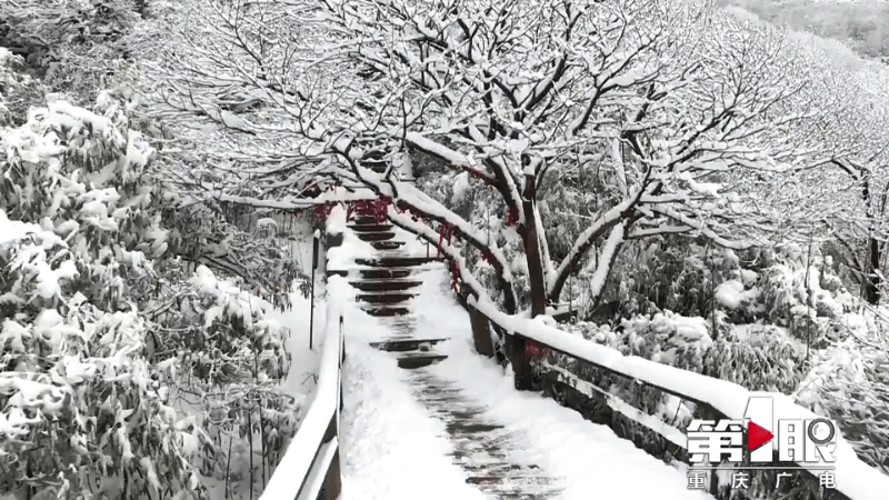 受降雪和冷空气影响 金佛山暂时关闭部分景点