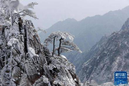 冬日|银装素裹，宛如仙境！雪后的黄山有多美