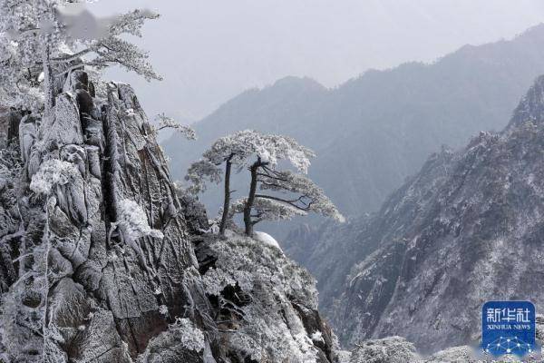 雪景|雪后黄山美图来了！银装素裹，宛如仙境