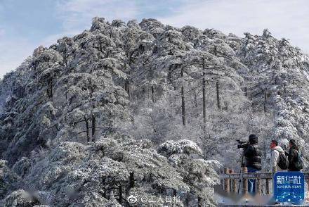 冬日|银装素裹，宛如仙境！雪后的黄山有多美