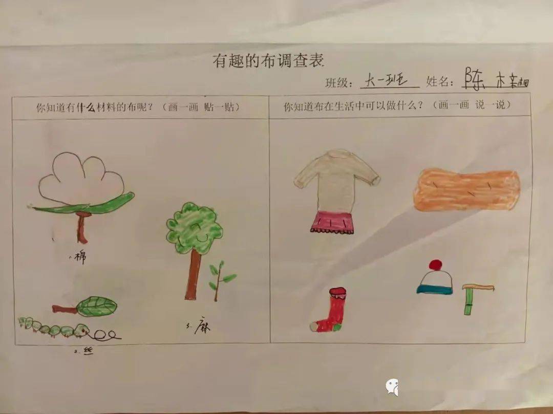 布期而遇的成长开发区中南熙悦幼儿园课程叙事篇