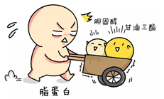 营养|鸡蛋就吃土鸡蛋？告别“老话误区”，听我说“食”话