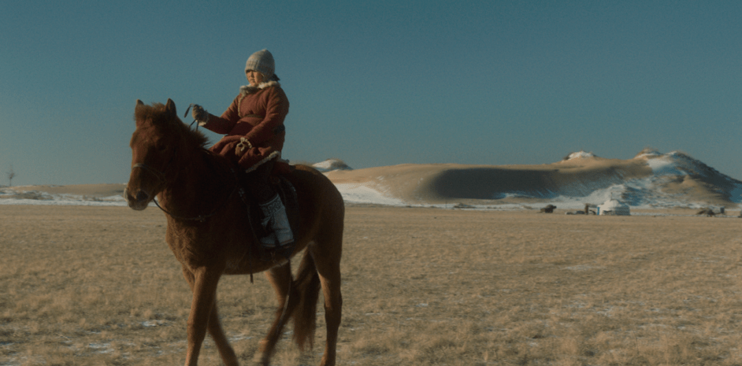 《雁南飞》剧照