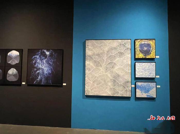 中国|一场颠覆认知的摄影展：作品不一定是相机拍的