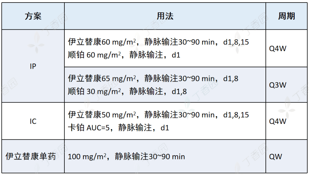 艾力 伊立替康图片