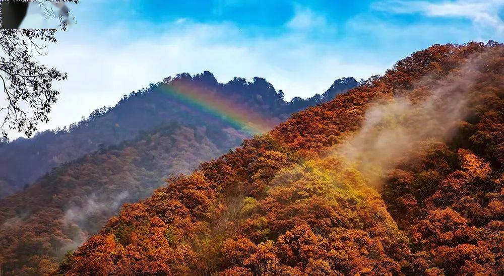 佛坪|隐藏在秦岭深处的醉美小城，与你只差一次相逢